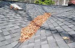 dirty roof